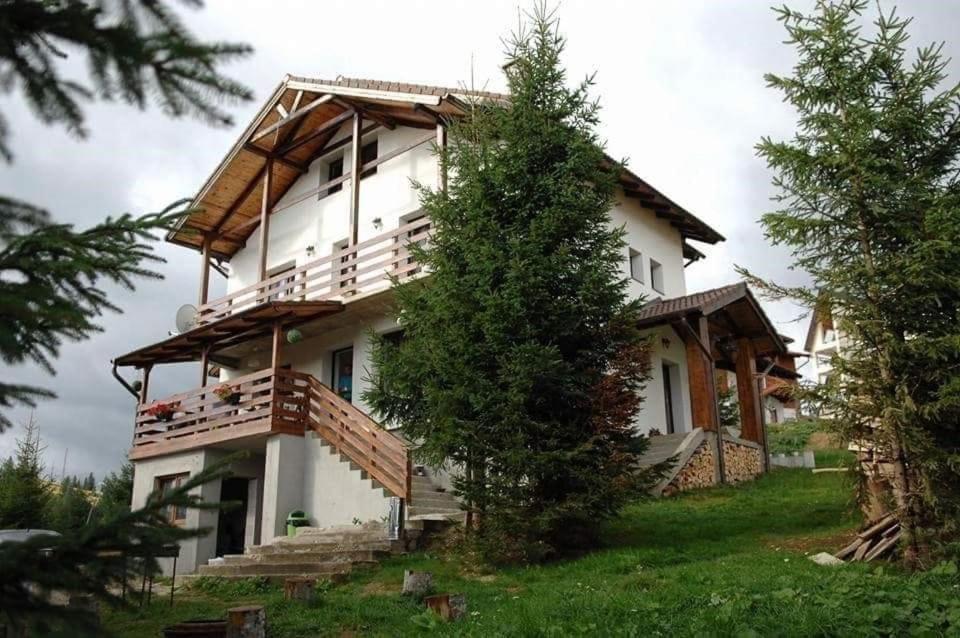 Casa De Vacanta Two Brothers Concept Paltinis Exterior photo