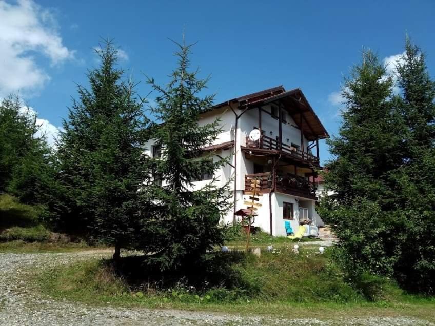 Casa De Vacanta Two Brothers Concept Paltinis Exterior photo