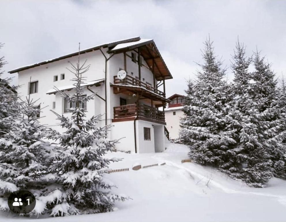 Casa De Vacanta Two Brothers Concept Paltinis Exterior photo